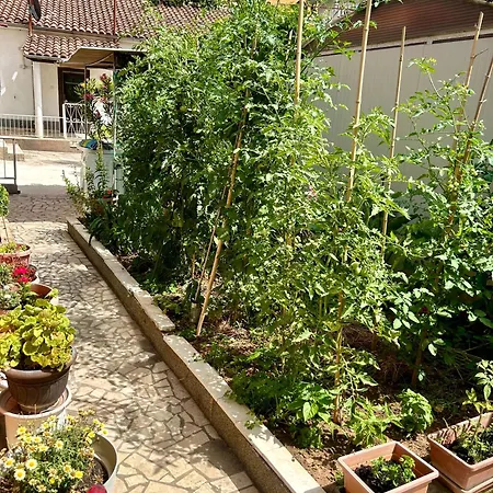 City Center With Balcony Kwatera prywatna